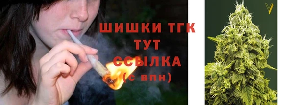 гидра Зеленокумск