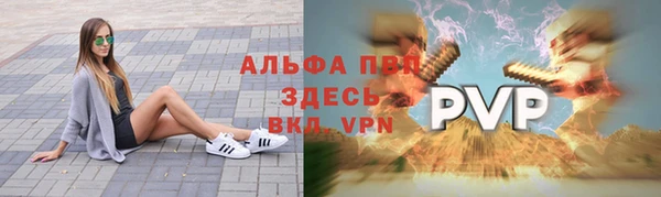 гидра Зеленокумск