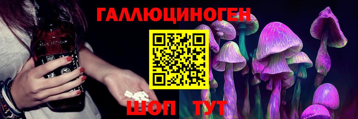 Янаул  Галлюциногенные грибы Cubensis  Вход с VPN 